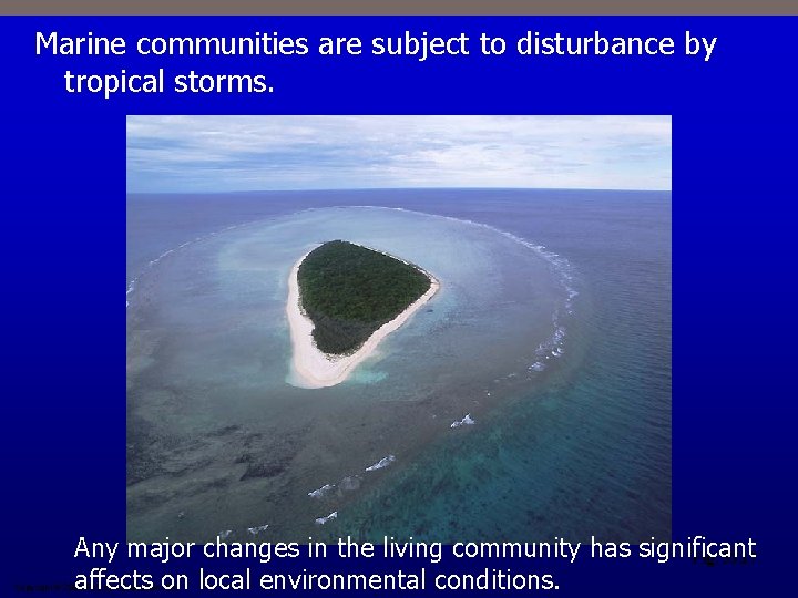 Marine communities are subject to disturbance by tropical storms. Any major changes in the