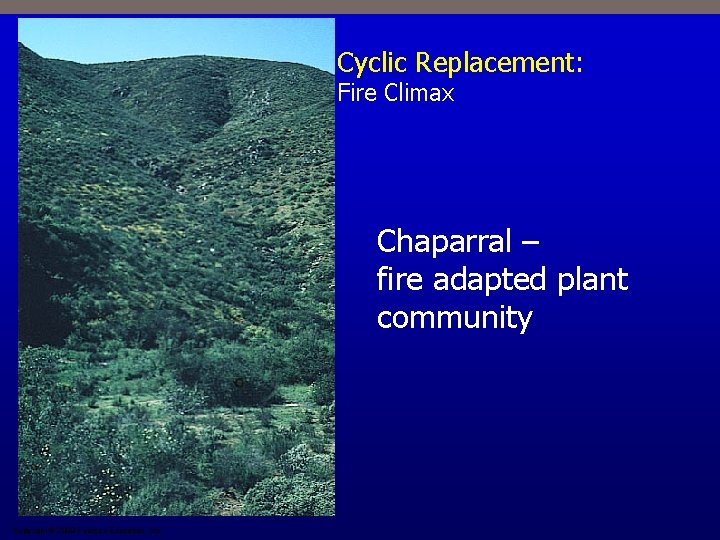 Cyclic Replacement: Fire Climax Chaparral – fire adapted plant community Copyright © 2009 Pearson