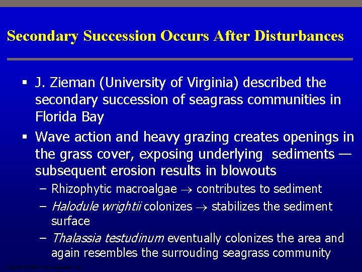 Secondary Succession Occurs After Disturbances § J. Zieman (University of Virginia) described the secondary