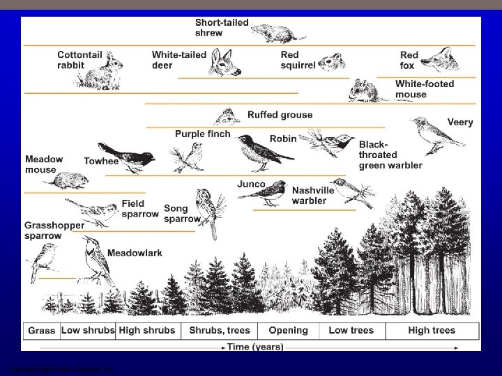 Copyright © 2009 Pearson Education, Inc. 