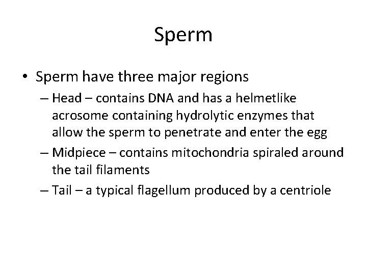 Sperm • Sperm have three major regions – Head – contains DNA and has