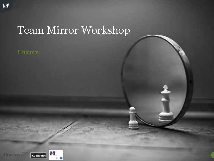 Team Mirror Workshop Unicorn 