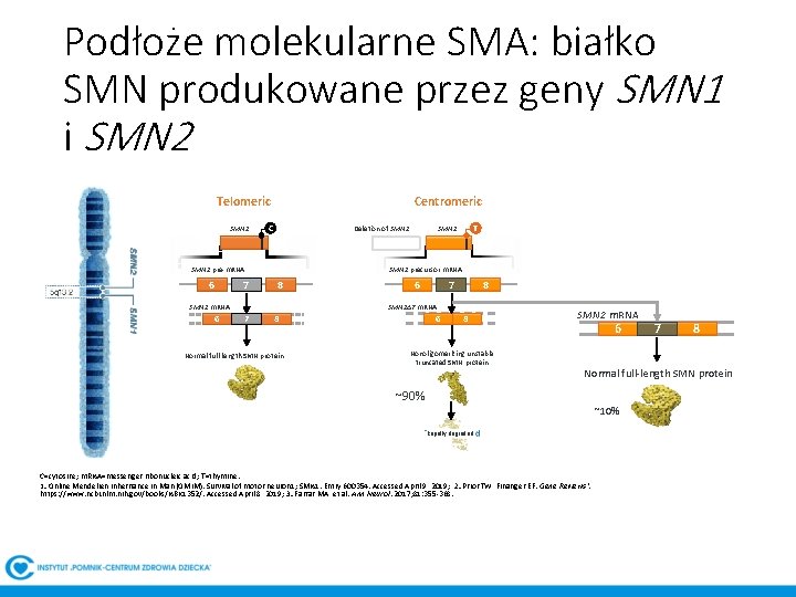 Podłoże molekularne SMA: białko SMN produkowane przez geny SMN 1 i SMN 2 Centromeric