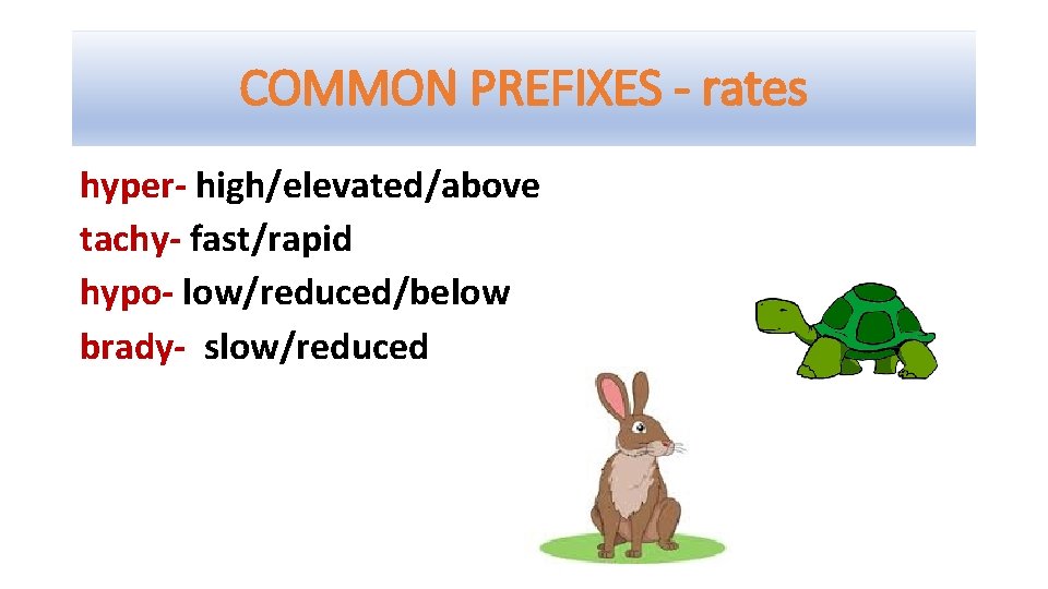 COMMON PREFIXES - rates hyper- high/elevated/above tachy- fast/rapid hypo- low/reduced/below brady- slow/reduced 