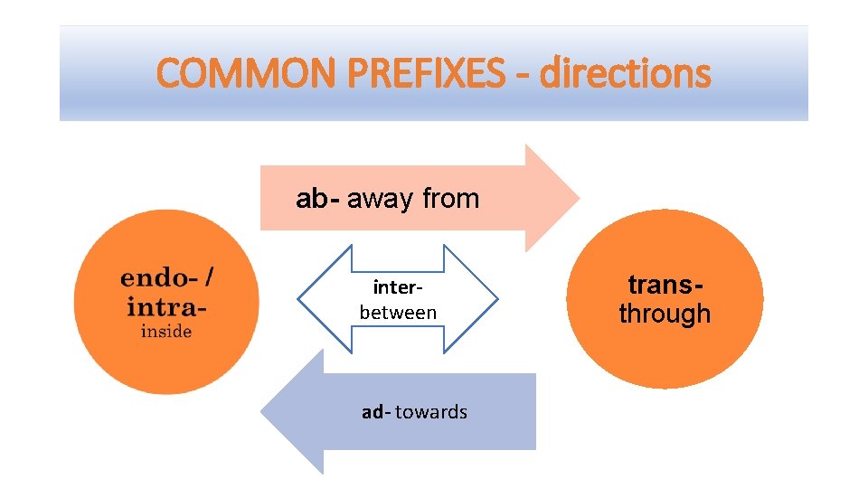 COMMON PREFIXES - directions ab- away from interbetween ad- towards transthrough 