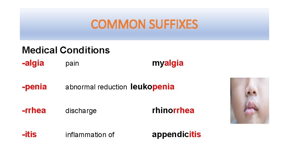 COMMON SUFFIXES Medical Conditions -algia pain myalgia -penia abnormal reduction leukopenia -rrhea discharge rhinorrhea