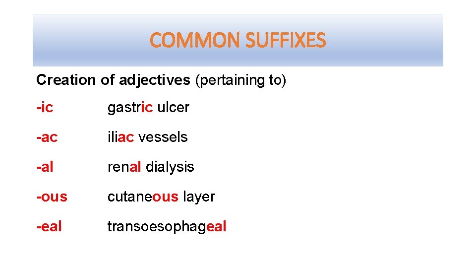 COMMON SUFFIXES Creation of adjectives (pertaining to) -ic gastric ulcer -ac iliac vessels -al