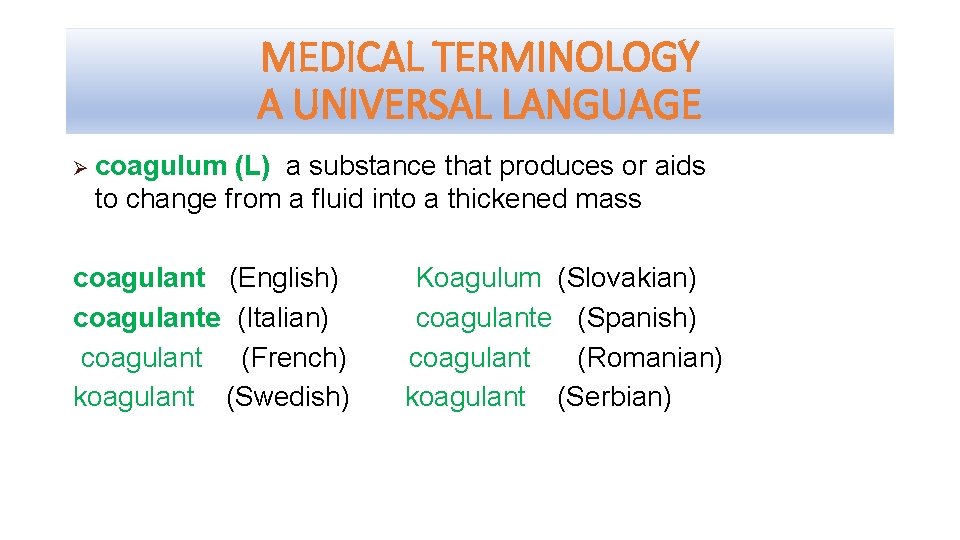 MEDICAL TERMINOLOGY A UNIVERSAL LANGUAGE Ø coagulum (L) a substance that produces or aids
