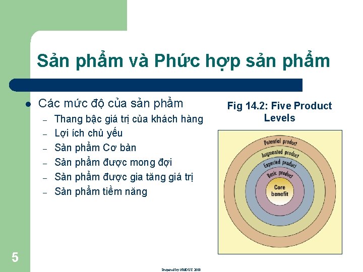 Sản phẩm và Phức hợp sản phẩm l Các mức độ của sản phẩm