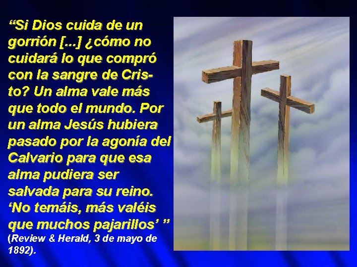 “Si Dios cuida de un gorrión [. . . ] ¿cómo no cuidará lo