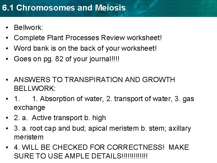6. 1 Chromosomes and Meiosis • • Bellwork: Complete Plant Processes Review worksheet! Word