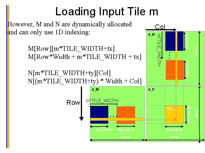 Loading Input Tile m N[m*TILE_WIDTH+ty][Col] N[(m*TILE_WIDTH+ty) * Width + Col] d_M d_P Pdsub …