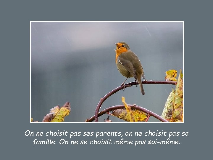 On ne choisit pas ses parents, on ne choisit pas sa famille. On ne