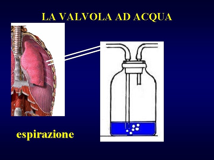 LA VALVOLA AD ACQUA espirazione 