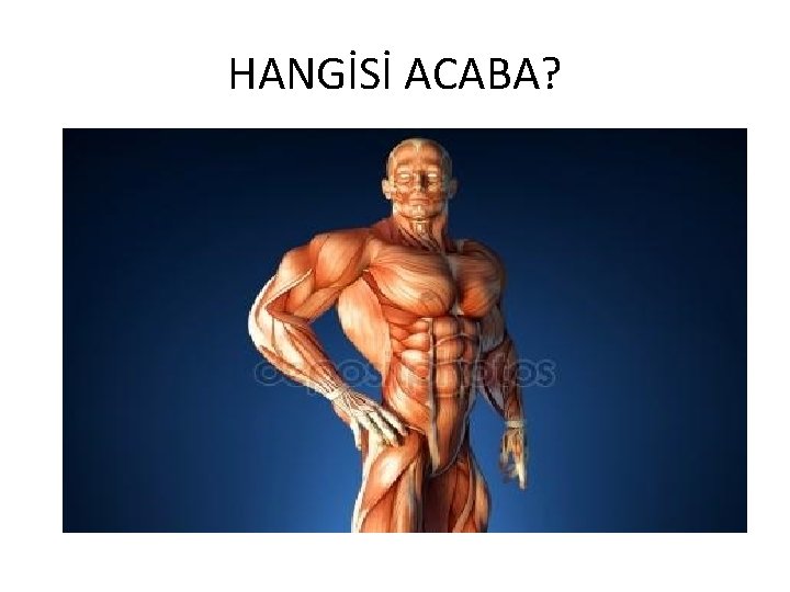 HANGİSİ ACABA? 