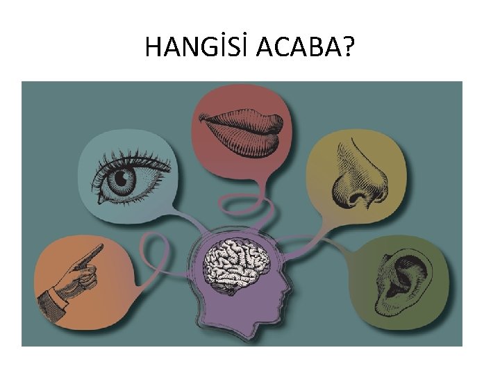 HANGİSİ ACABA? 