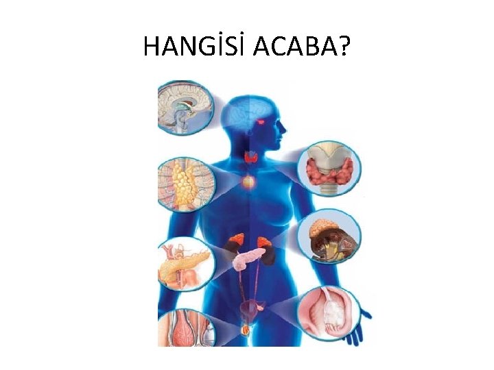 HANGİSİ ACABA? 