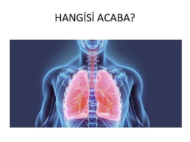 HANGİSİ ACABA? 