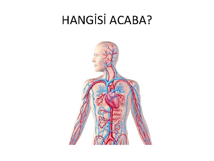 HANGİSİ ACABA? 