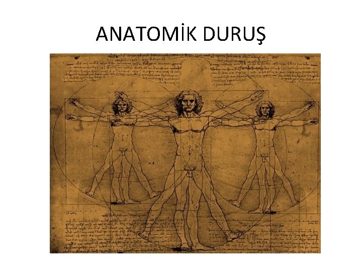 ANATOMİK DURUŞ 