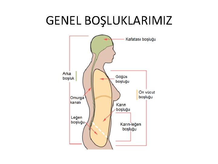 GENEL BOŞLUKLARIMIZ 