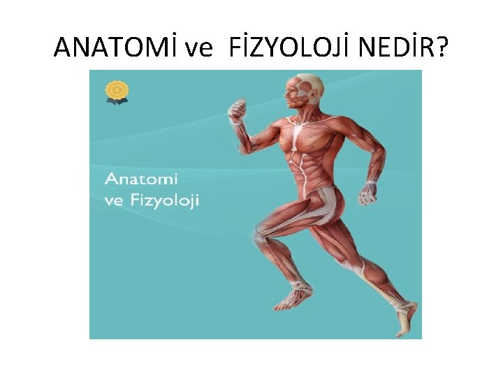 ANATOMİ ve FİZYOLOJİ NEDİR? 