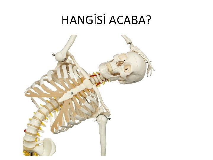 HANGİSİ ACABA? 