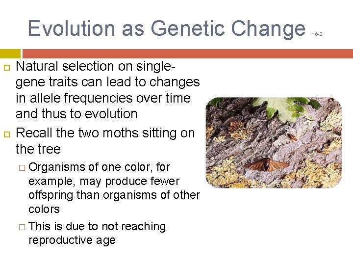 EVOLUTION OF POPULATIONS Chapter 16 Genes and Variation