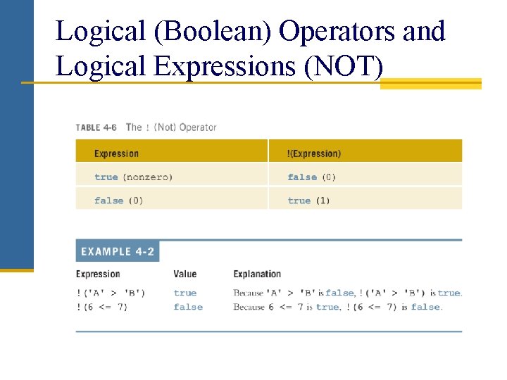 Logical (Boolean) Operators and Logical Expressions (NOT) 