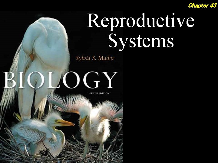 Chapter 43 Reproductive Systems 