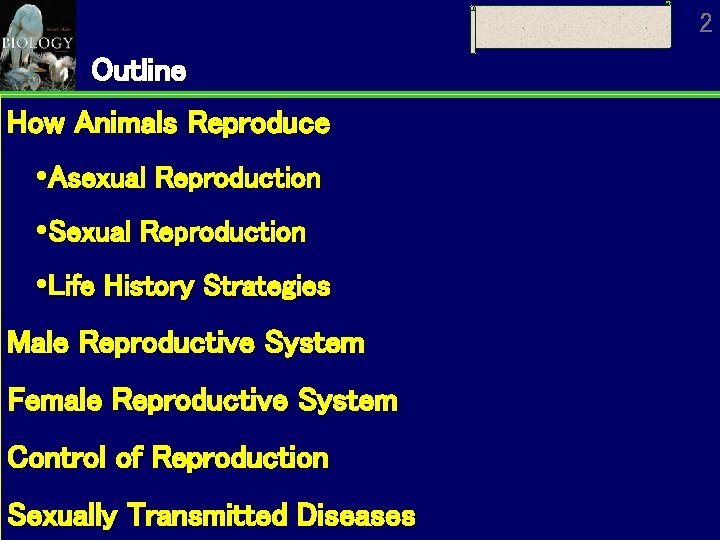 2 Outline How Animals Reproduce Asexual Reproduction Sexual Reproduction Life History Strategies Male Reproductive