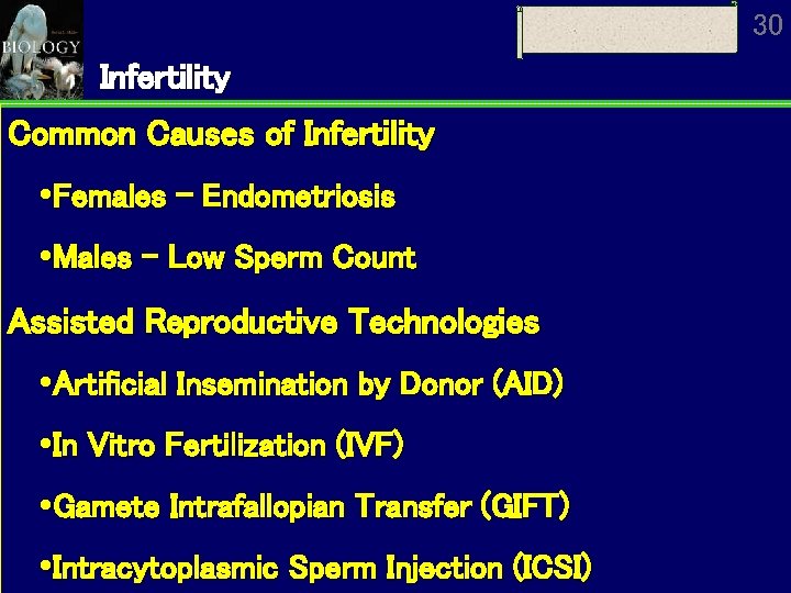 30 Infertility Common Causes of Infertility Females - Endometriosis Males - Low Sperm Count