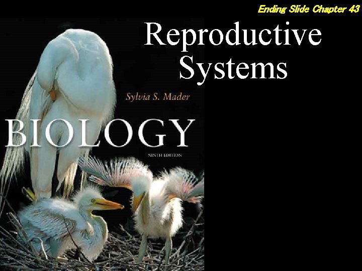 Ending Slide Chapter 43 Reproductive Systems 