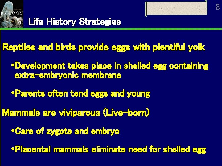 8 Life History Strategies Reptiles and birds provide eggs with plentiful yolk Development takes