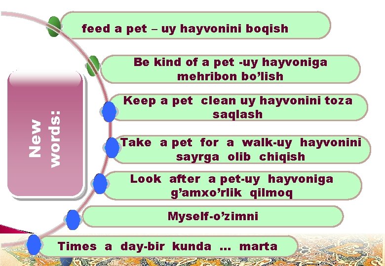 feed a pet – uy hayvonini boqish New words: Be kind of a pet