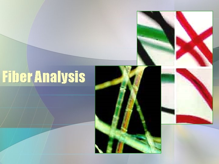 Fiber Analysis 