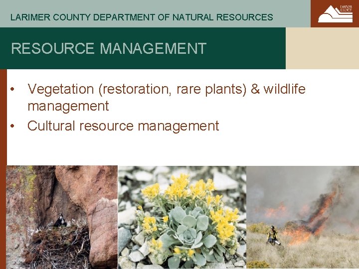LARIMER COUNTY DEPARTMENT OF NATURAL RESOURCES RESOURCE MANAGEMENT • Vegetation (restoration, rare plants) &
