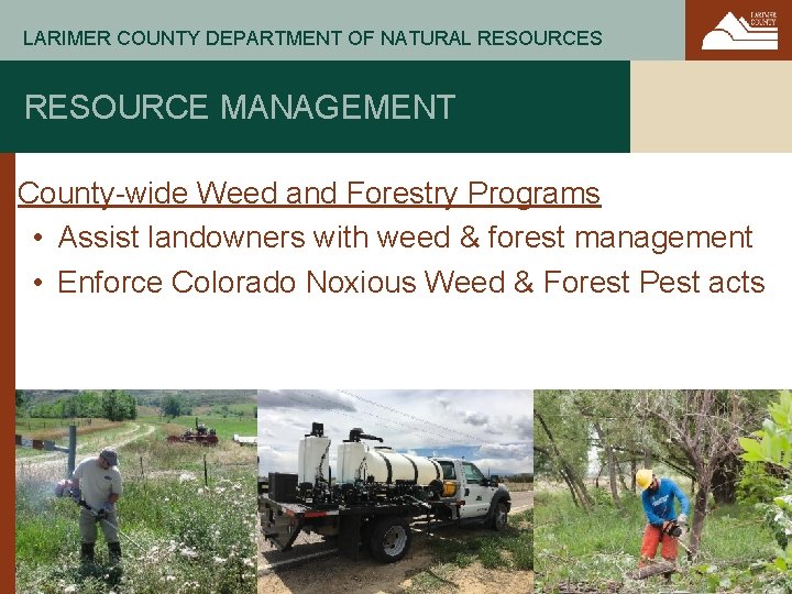 LARIMER COUNTY DEPARTMENT OF NATURAL RESOURCES RESOURCE MANAGEMENT County-wide Weed and Forestry Programs •