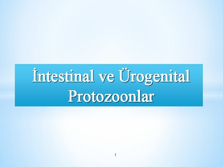 İntestinal ve Ürogenital Protozoonlar 1 