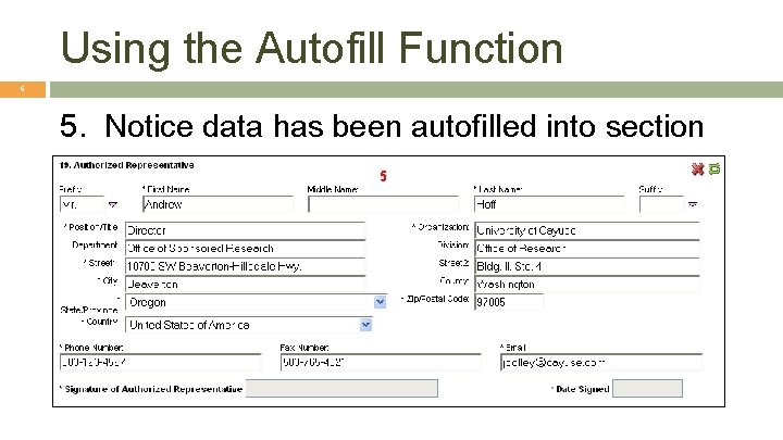 Auto Fill Function Flow 1 Module 6 Proposal Basics Objectives 2 In