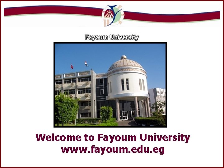Welcome to Fayoum University www. fayoum. edu. eg ©Prof. Dr. M. M. Shendi 