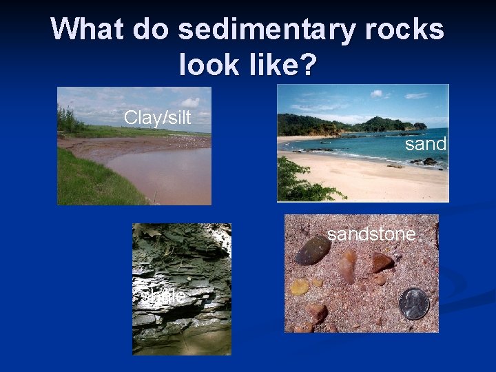 What do sedimentary rocks look like? Clay/silt sandstone shale 