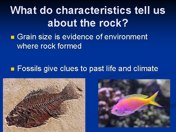 What do characteristics tell us about the rock? n Grain size is evidence of