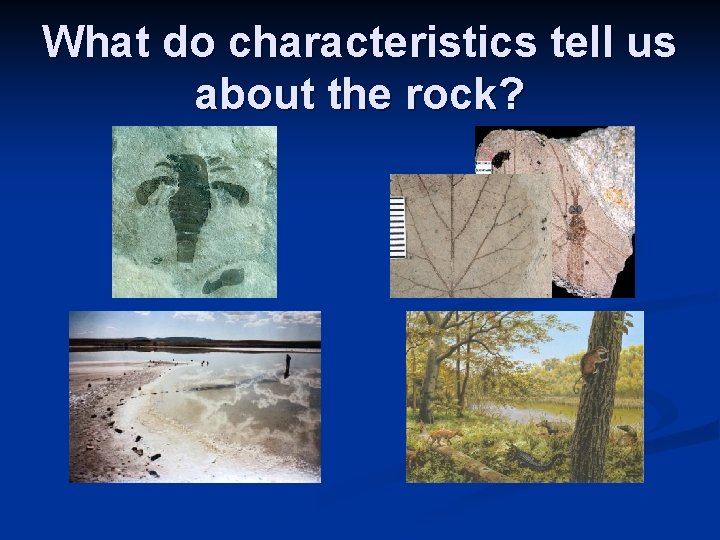 What do characteristics tell us about the rock? 