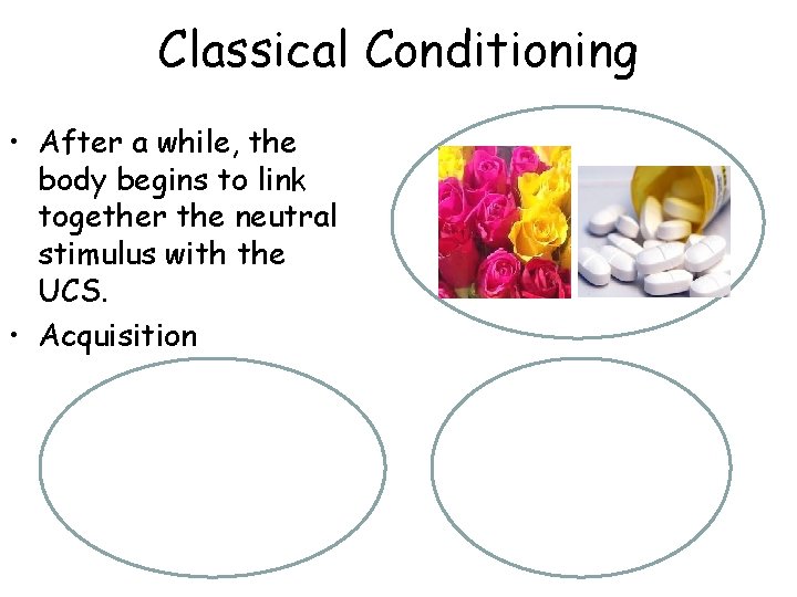 Classical Conditioning • After a while, the body begins to link together the neutral