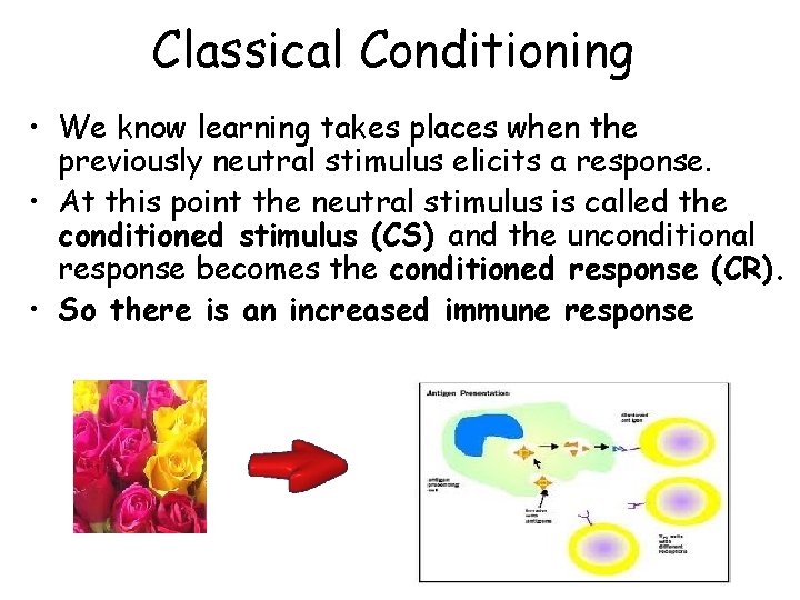 Classical Conditioning • We know learning takes places when the previously neutral stimulus elicits