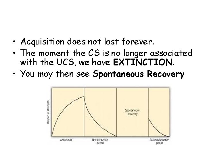  • Acquisition does not last forever. • The moment the CS is no