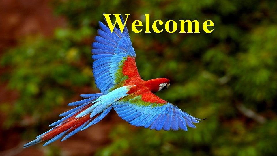 Welcome 