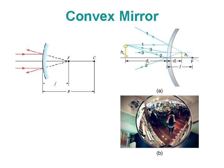 Convex Mirror 