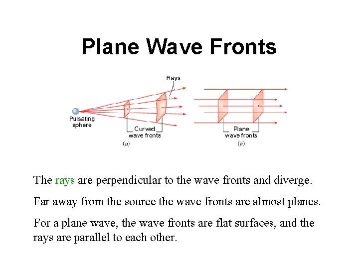 Plane Wave Fronts The rays are perpendicular to the wave fronts and diverge. Far